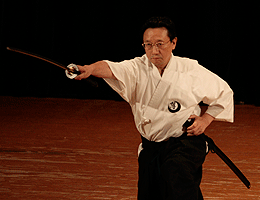 平成23年の居合・剣術演武 9