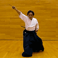 ancient Japanese martial arts・前腰