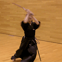 ancient Japanese martial arts・夢想返し