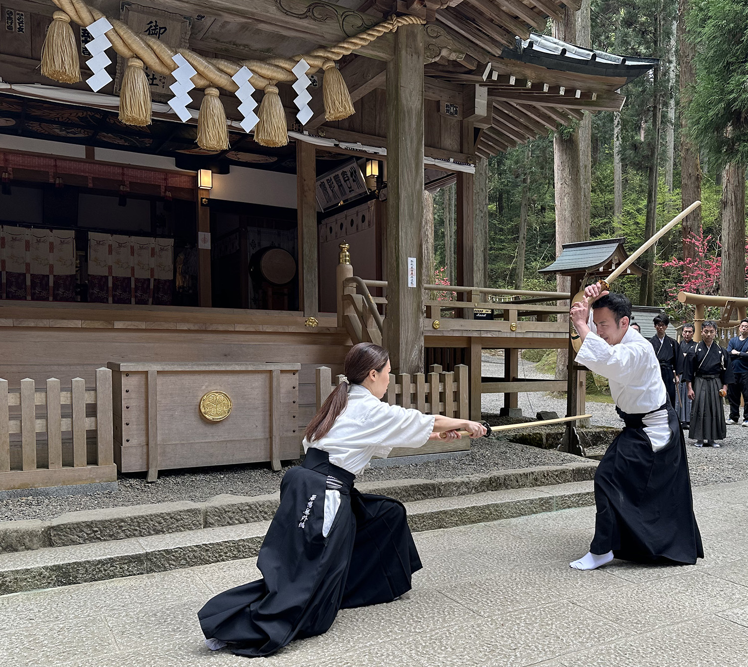 居合道の見学